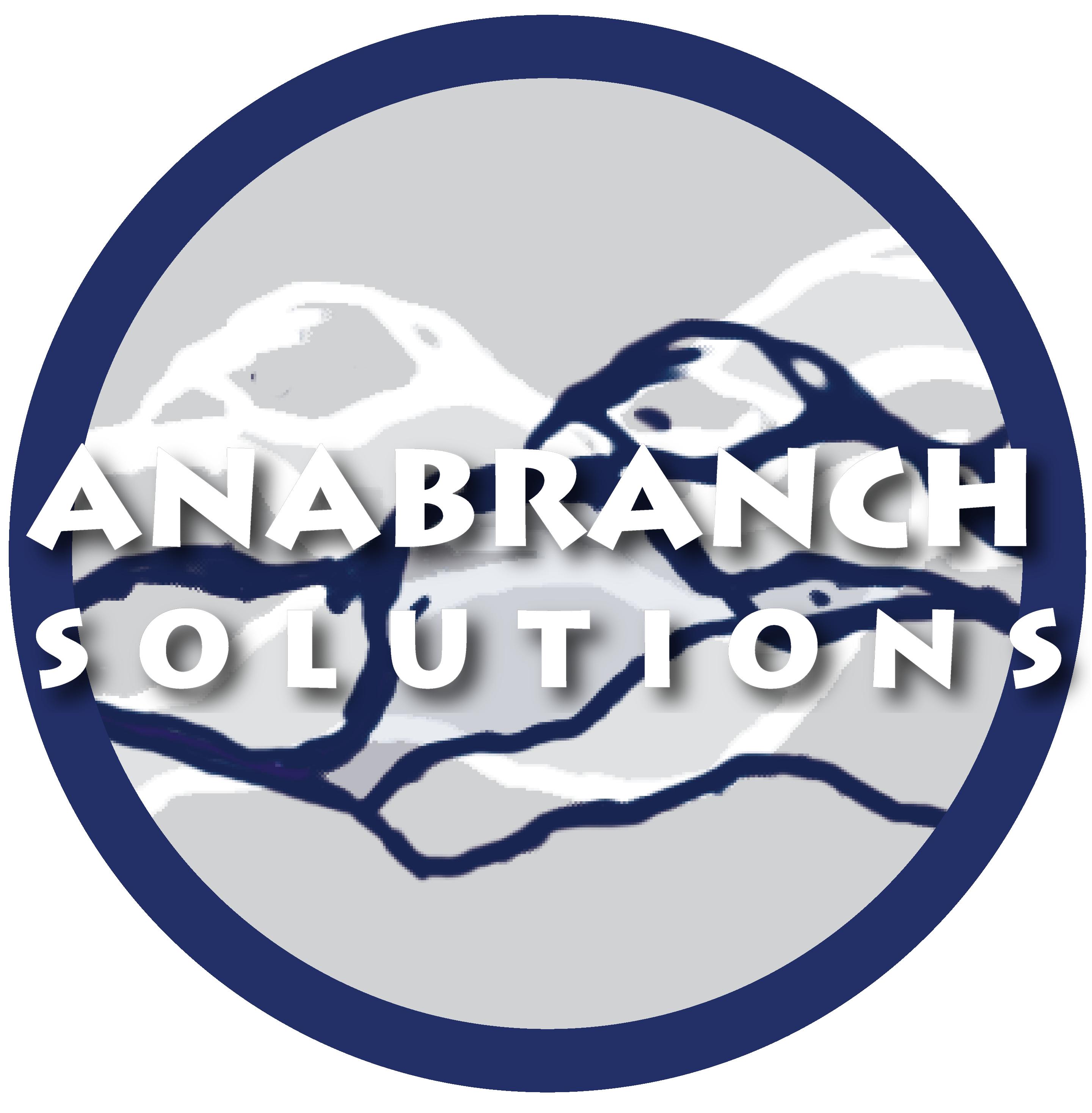 Anabranch Solutions
