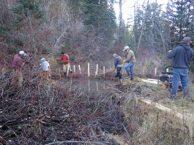 Birch Creek image