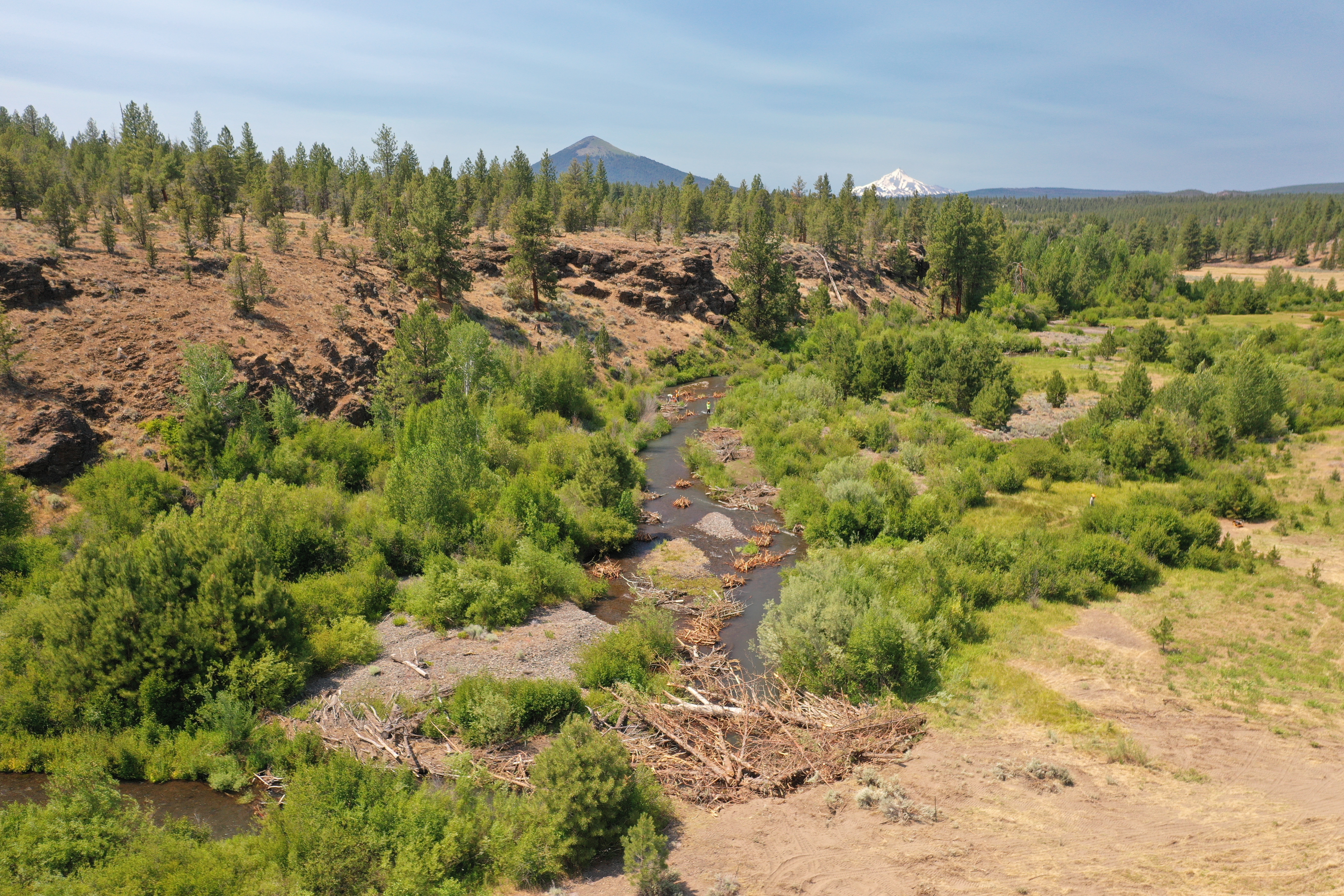 Willow Springs image